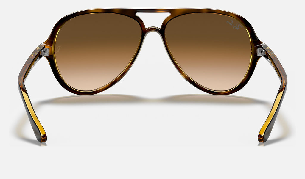 Ray-Ban RB4125 Cats 5000 Havane clair de dos