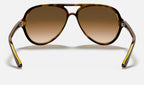 Ray-Ban RB4125 Cats 5000 Havane clair de dos