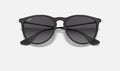 Ray-Ban RB4171 Erika Noir mat de face, branches fermées