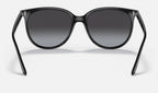 Ray-Ban RB4378 Noir de dos