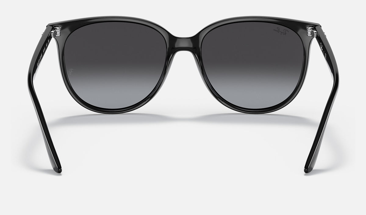 Ray-Ban RB4378 Noir de dos