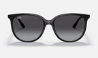 Ray-Ban RB4378 Noir de face
