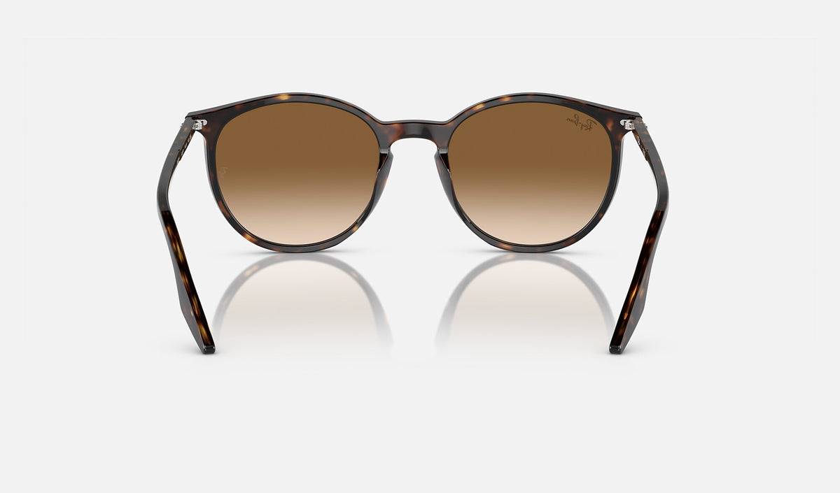 Ray-Ban RB2204 Havane de dos