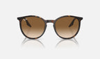 Ray-Ban RB2204 Havane de face