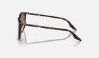 Ray-Ban RB2204 Havane de profil