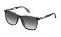 Police SPL872N bleu rayé et gris - lunette de soleil homme