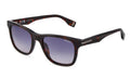 Police SPLU68 havane foncé - lunette de soleil homme