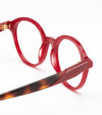 Woodys Tansy rouge - détail de la branche