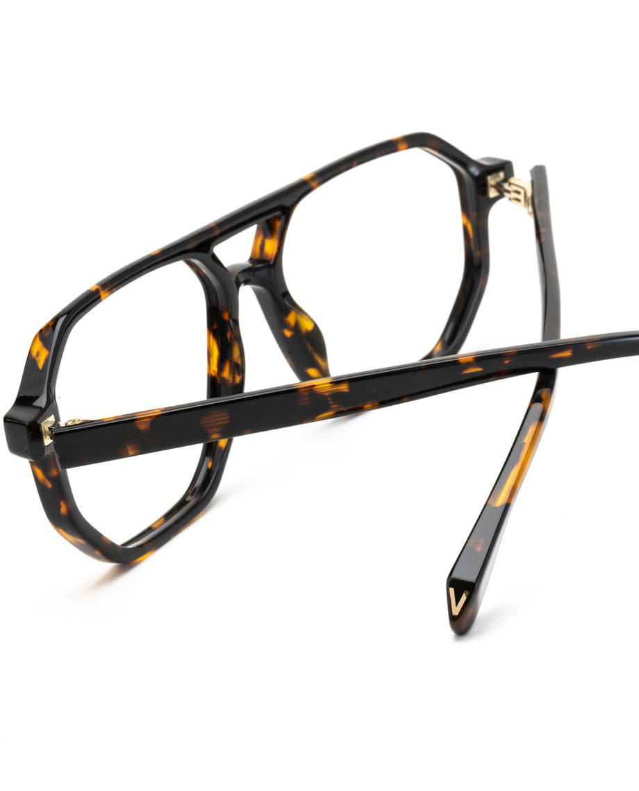 Visionario Nina, détail de la branche